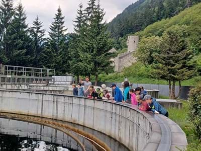 Am Nachklärbecken